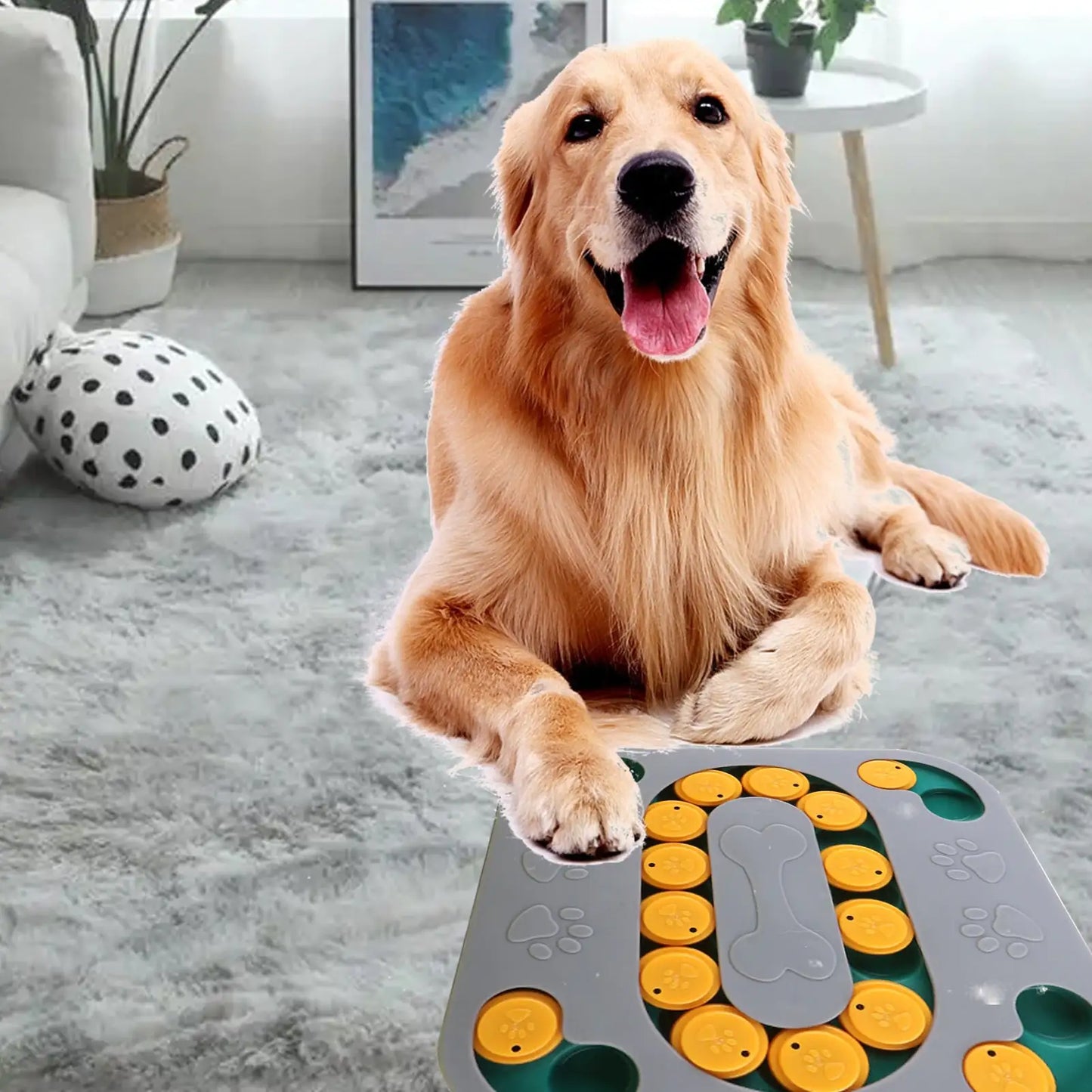 Dog Puzzle Toys